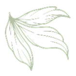 fleur