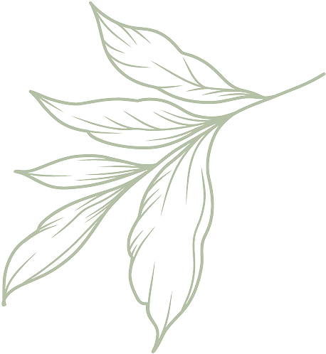 feuille