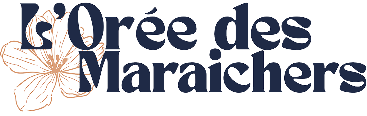 LOGO PROGRAMME